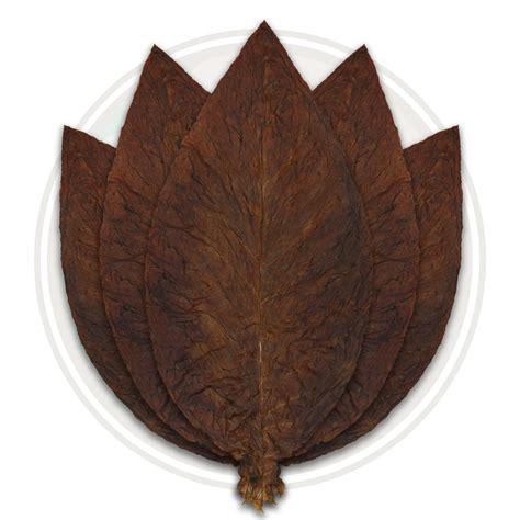 Fronto / Dark Air Cured (J1) Wholesale Tobacco Leaves