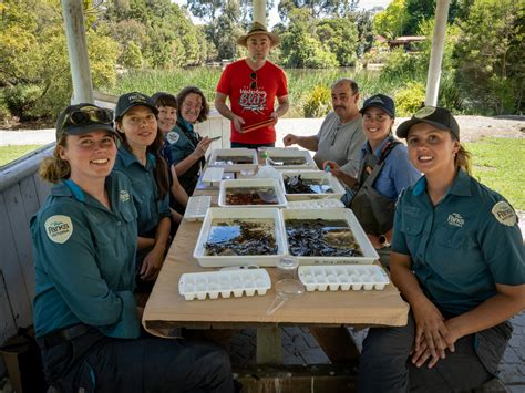 WGCMA | Waterbug Identification Training Day – Tiny creatures, mighty clues