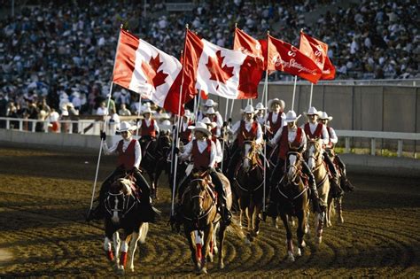 Calgary Stampede | Calgary stampede, Calgary, Wallpaper canada