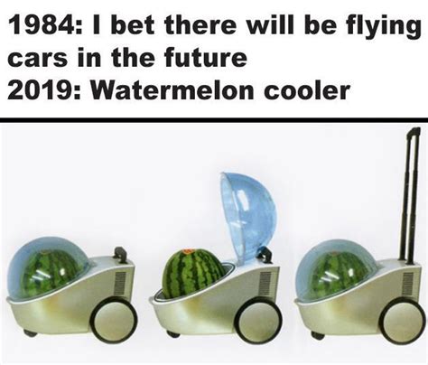 Watermelon Cooler | Portable Watermelon Cooler | Know Your Meme