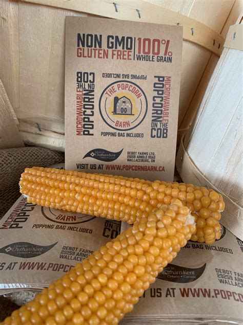 Popcorn on the Cob – The Market Pack – The Popcorn Barn