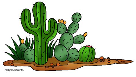 Download High Quality western clipart cactus Transparent PNG Images - Art Prim clip arts 2019