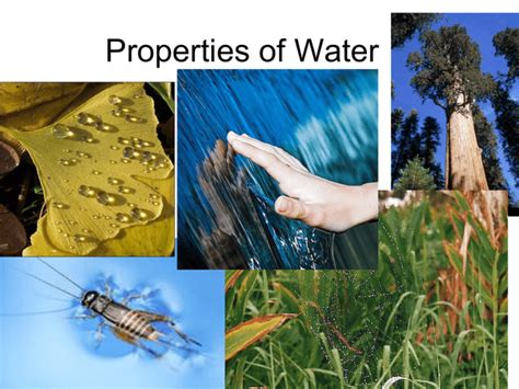 Properties of Water