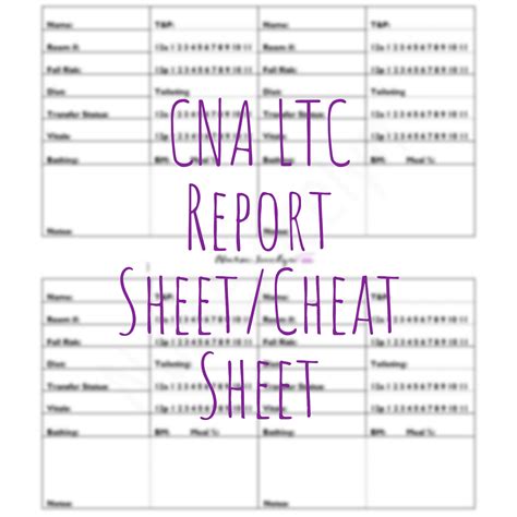 Printable Cna Report Sheets