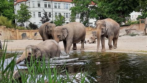 Zoo Leipzig: Kostenloser Eintritt für Schulanfänger 2022