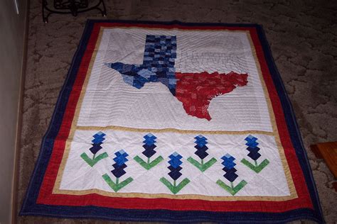 Quilt Across Texas Bluebonnet Quilt Finished 7-2014. Had to put this ...