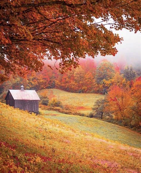 Fall foliage in the east coast of the US : r/MostBeautiful