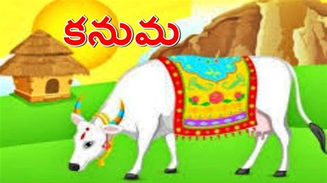 significance of kanuma festival | కనుమ పండుగ విశిష్టత ఆధ్యాత్మికం News ...