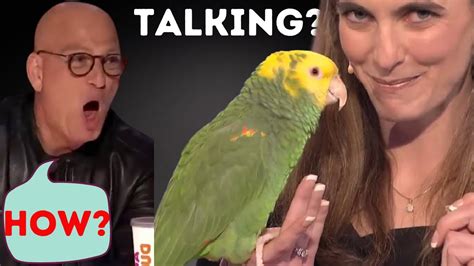 Talking BIRD! on AGT! Very funny bird! Surely you love it 😍 - YouTube