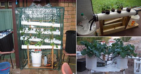 17 Homemade Hydroponic Systems | DIY Hydroponic Gardens | Balcony ...