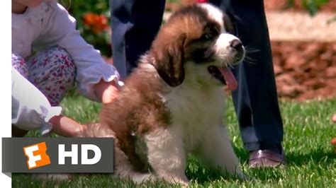 Beethoven (1992) - Big Puppy, Big Dog Scene (3/10) | Movieclips - YouTube