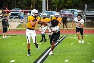 2022 Schedule Preview: Cayuga Wildcats | Sports | palestineherald.com