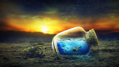 Underwater Dreams: 4K Ultra HD of a Bottle, Turtle, and Crab by peter_pyw