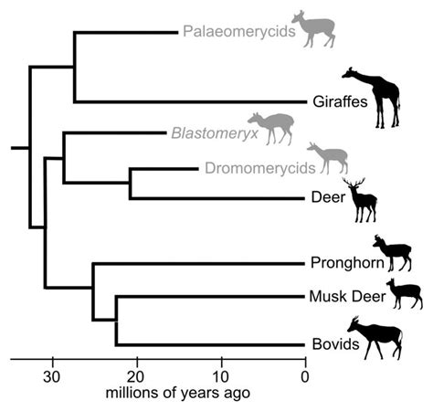 Blogs - PLOS