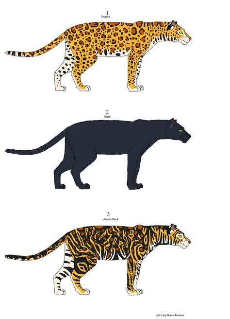 Leopard-Jaguar Hybrid Adopts by Patchi1995 on DeviantArt