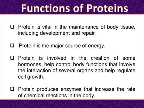 Protein; its functions