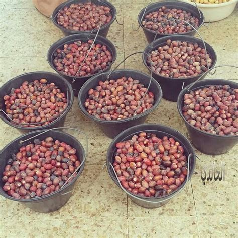 Omani Dates | Omani, Oman, Peppercorn