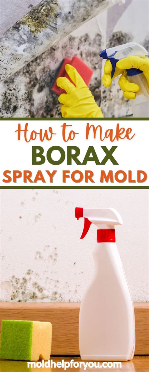 How to Make Borax Spray for Mold | Borax, Mold remover, Cleaning mold