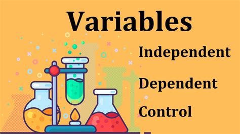 Identify Variables in a Scientific Investigation - YouTube