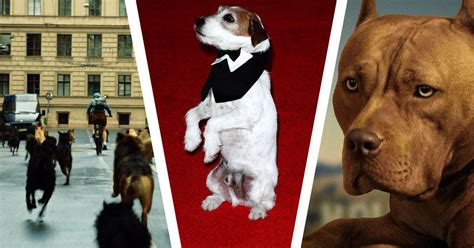 The Best Winners of the Palm Dog Award at Cannes