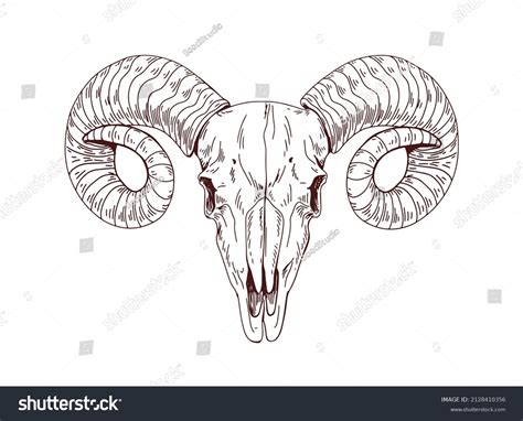 545 Aries Ram Skull Images, Stock Photos & Vectors | Shutterstock