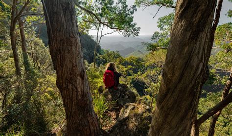 Is it safe to go bushwalking? - Australian Geographic