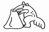 Anteater Finding Ant Coloring Page  Free Printable Pages sketch template