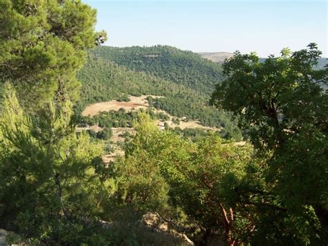 Ajloun Forest Reserve, Ajloun, Jordan Photos