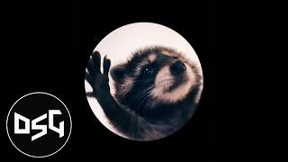 PEDRO PEDRO PEDRO - Dancing Raccoon Song Chords - Chordify