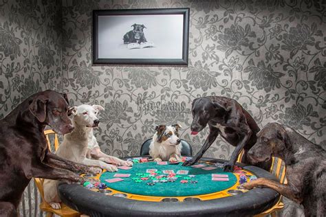 Darcy Evans Studio of the Month-Dogs Playing Poker. - Simply Color Lab