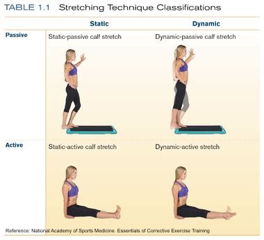 active vs passive stretching - The Pilates Works