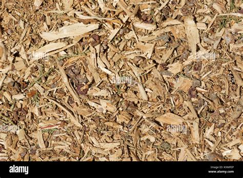 organic mulch background with wood chips bark and leaves Stock Photo - Alamy