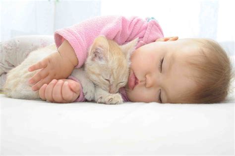 Kittens and babies - Catholic Review