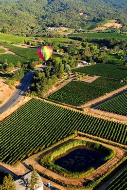 Sunrise Balloon Ride Over Napa - Iowa Girl Eats