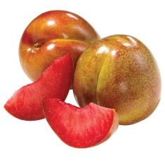 Plumcot Varieties - HEB