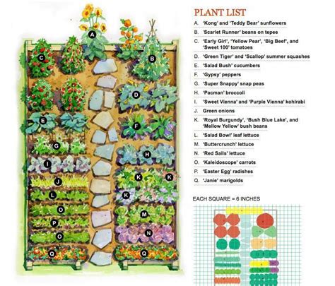 How To Lay Out A Garden Vegetable Garden Layout Gardening Flowers 101