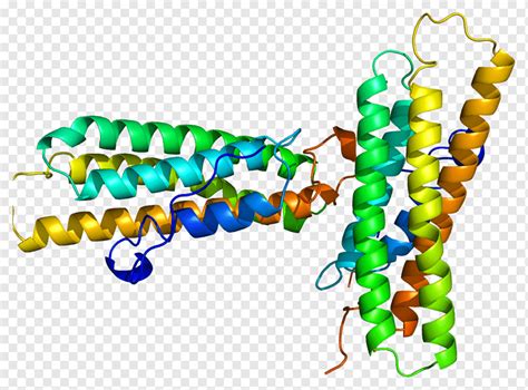 Vinculin-Talin-Protein alpha-Helix-Catenin, Integrin, Alpha-Helix, Korn ...