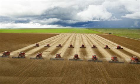 Agronegócio Sustentável - 08/01/2019 - Agronegocio - Fotografia - Folha de S.Paulo