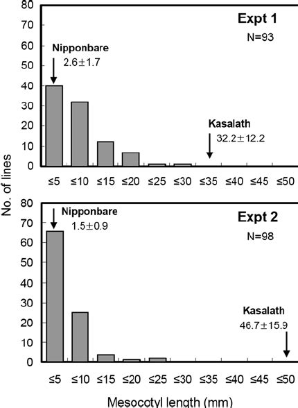 Frequency distribution of the mesocotyl length of BILs in the two ...