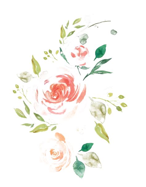 Watercolor Flower PNG Transparent Images - PNG All