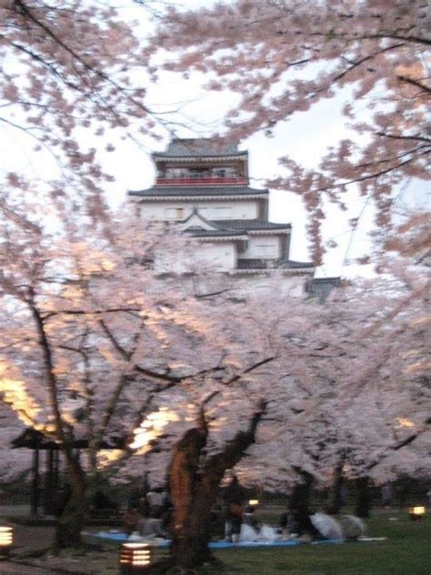 Aizu Wakamatsu castle in the spring | Favorite places, Outdoor, Nature