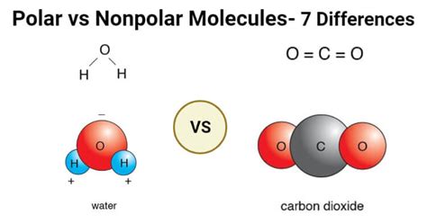 Describe the Characteristics of a Polar Molecule