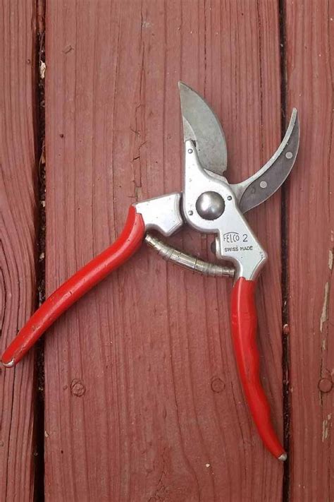 The Felco F-2 Pruners Reviewed | Gardener’s Path