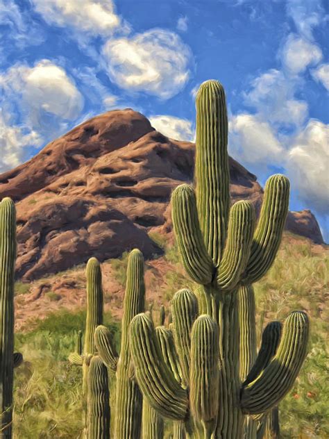 Saguaros by Dominic Piperata | Cactus painting, Saguaro, Painting