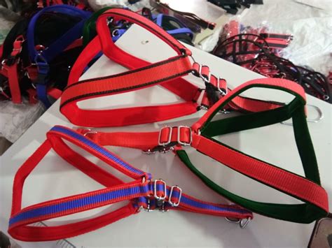 Dog Collar Belt at Rs 75 | Dog Collars & Belts in Kanpur | ID: 22198955391