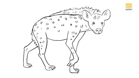 How to draw A Hyena drawing II Wild animals drawing II part 03 II #artjanag - YouTube