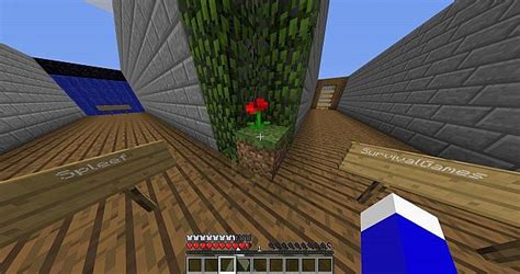 Mini games server Minecraft Server