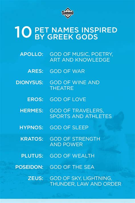 Greek-God-Inspired Pet Names in 2021 | Pet names, Fun cat names, Greek gods