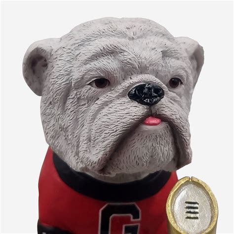 UGA X Georgia Bulldogs 2021 Football National Champions Bobblehead FOCO