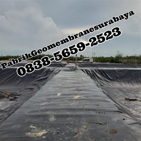 BERKUALITAS, WA 0838-5659-2523 Jual Plastik Tambak Udang Pasuruan | Outdoor, Beach, Water